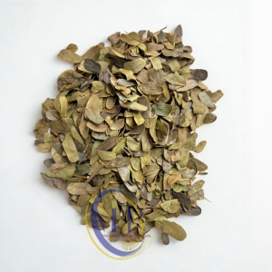Dried Sweet Saga Leaves / Sweet Rosary Pea / Abrus Precatorius