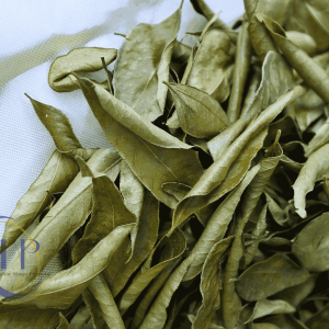 Dried Curry Leaves / Bergera Koenigii