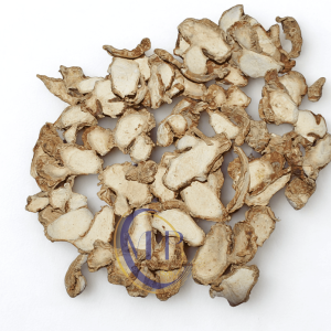 Dried Aromatic Ginger / Kencur / Kaempferia Galanga