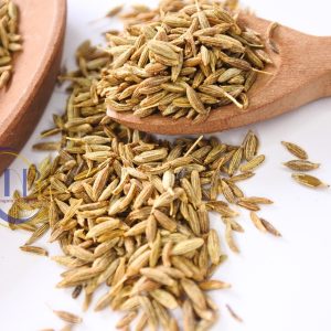 Cumin / Zeera / Cuminum Cyminum