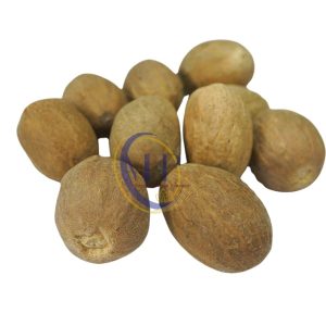 Nutmeg / Myristica Fragrans